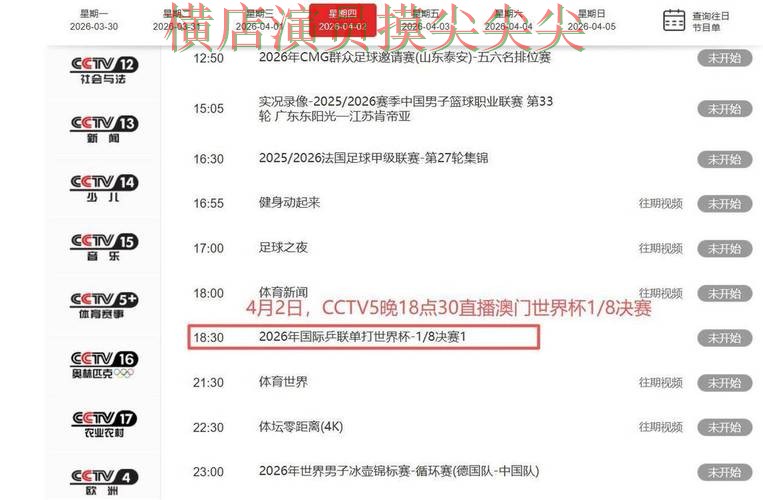 世界杯投注平台推荐汇总：聚焦平台排行与赛事直播体验 - 世界杯实时直播